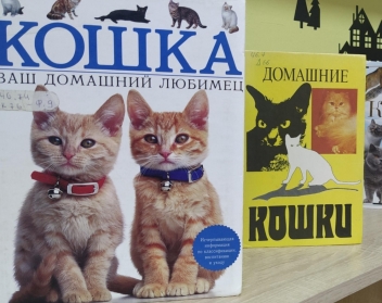 Символика цвета в русской литературе