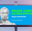 Более 250 тыс. «Пушкинских карт» уже оформили в Подмосковье
